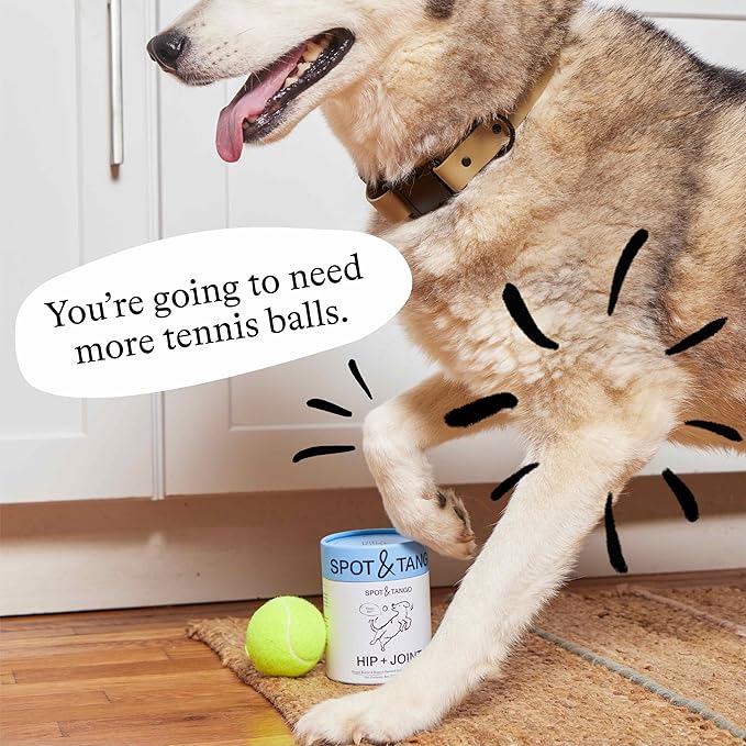 Spot & Tango Hip + Joint Supplement for Dogs - Vet-Approved For Mobility and Arthritis Support - Glucosamine, Chondroitin, Green Lipped Mussel, MSM - Flavor from Real Peanut Butter & Banana - 56 Count