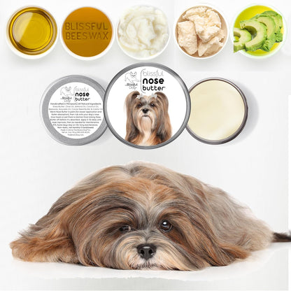 The Blissful Dog Lhasa Apso Nose Butter for Dry, Cracked Skin, Lick-Safe Dog Nose Balm with Moisturizing Shea Butter, Almond, Olive, and Essential Oils, Pet Supplies, Uncented, 4 oz.