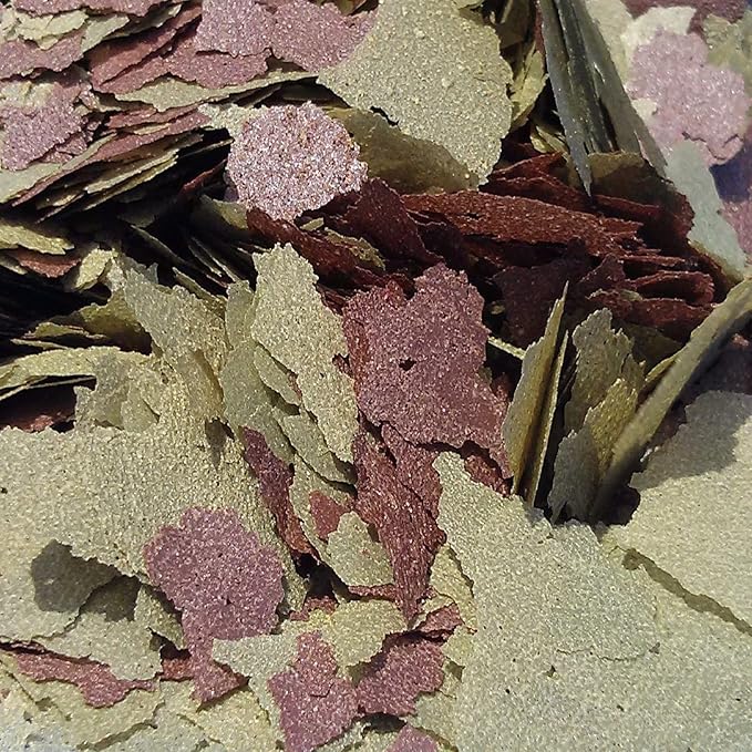 Aquatic Foods Inc. Flakes - 45% California Blackworm & Cichlid Green GRO Flake Mix for Discus, Cichlids, Tetras, Guppies, Live Bearers, All Community Tropical Fish - Premium AF Flakes - 1/4-lbs