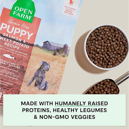 Open Farm, Grain-Free Dry Dog Food for Puppies, Protein-Packed Kibble, Sustainably & Ethically Sourced Ingredients, Non-GMO Veggies & Superfoods, Salmon & Sweet Potato Puppy Recipe, 22lb Bag
