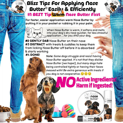The Blissful Dog Dachshund Nose Butter for Dry, Cracked Skin, Lick-Safe Dog Nose Balm with Moisturizing Shea Butter, Almond, Olive, and Essential Oils, Pet Supplies, Uncented, 8 oz.