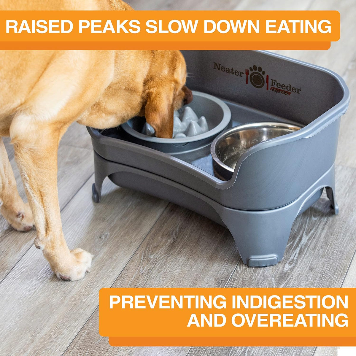 Neater Feeder Express Mess Proof Dog Bowls Elevated for Medium and Large Breed – Made in USA – No Spill Raised Slow Feeder Elevated Dog Bowl Stand, Slow Feed Food and Water Bowl Set, Grey