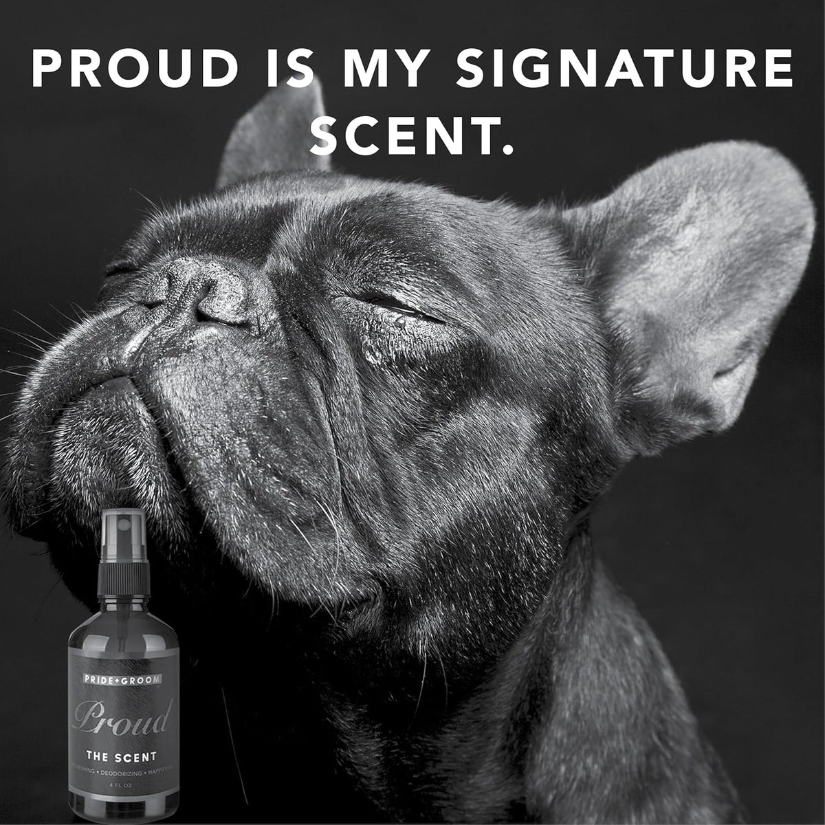 Pride and Groom Proud – Long Lasting Luxurious Dog Grooming Spray & Pet Deodorizer with Uniquely Uplifting, Fresh and Clean Signature Scent, Safe for Sensitive Skin & Noses – 4 fl oz
