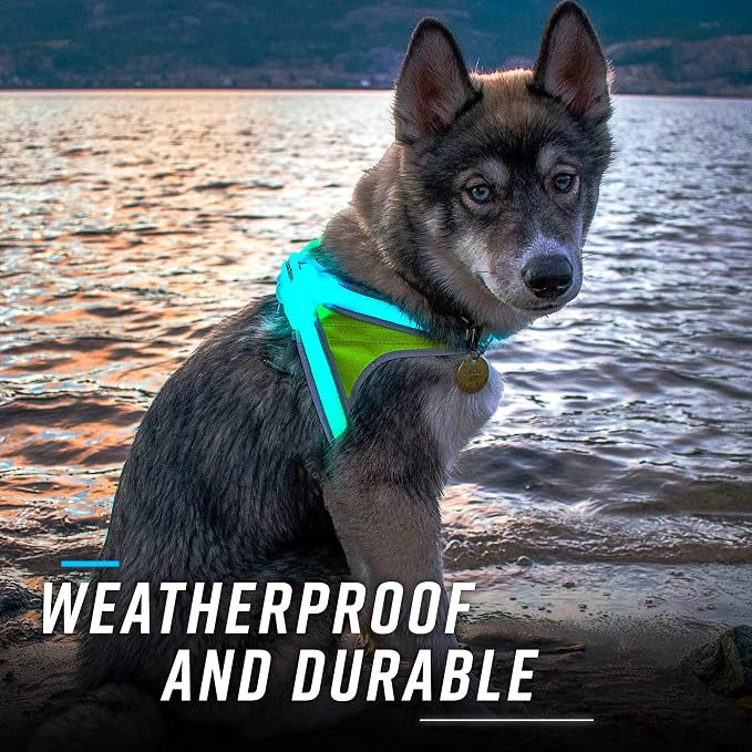 noxgear LightHound Light Up Reflective Dog Harness, X-Large | 360° Light Up Reflective Dog Harness, 8 Colors & 6 Modes, USB Rechargeable, Adjustable, Rainproof, LED Fiber Optic