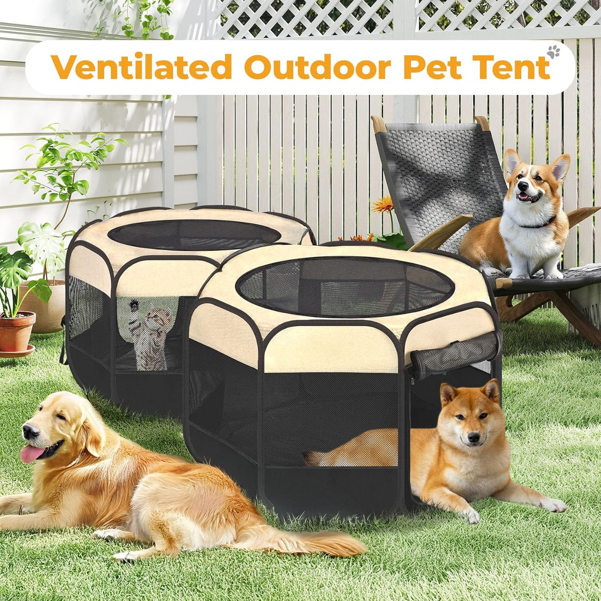 EighteenTek 2-in-1 Pop Up Cat Playpen, Assembly-Free Dog Puppy Pet Playpen, Indoor Outdoor Cats Enclosed, Cat Tent House Crate Cage, Portable & Foldable Playpen for Kittens(No Divider, Unified Space)
