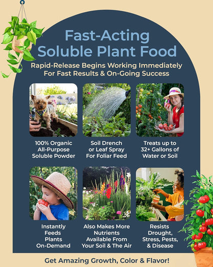Organic Plant Magic - Truly Organic™ Fast-Acting Water Soluble Plant Food - All-Purpose Fertilizer Concentrate for Flower, Vegetable, Herb, Fruit Tree, Garden & Indoor Houseplants [One 1/2 lb Bag]