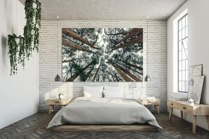 Nature Wall Art Prints - Ocean Forest Mountain Lake Canvas Landscapes - Small to Extra Large Living Room Bedroom Kitchen Bathroom Décor (Trees and Sky, 20L" x 30W")