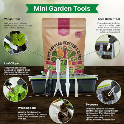 20 Vegetable Seeds Variety Pack - 12,465+ Non-GMO Heirloom Seeds for Planting Vegetables and Fruits in Individual Seed Packets, Home Garden Seed for Hydroponic, Indoor and Outdoors Gardening