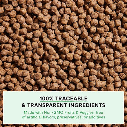 Open Farm, Ancient Grains Dry Dog Food for Puppies, Protein-Rich & Nutrient Dense, 90% Animal Protein Mixed with Non-GMO Fruits, Veggies and Superfoods, Chicken & Salmon Recipe for Puppy, 22lb Bag