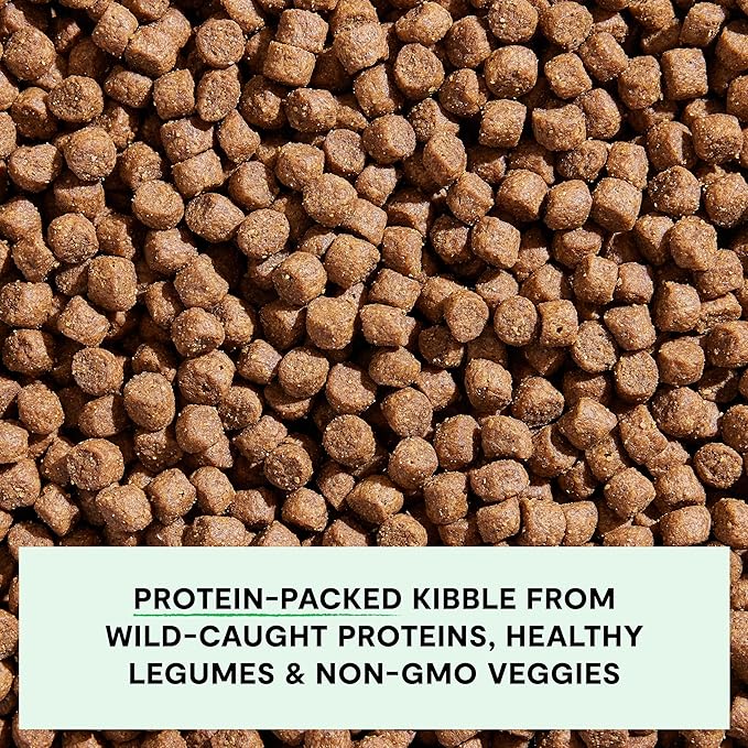 Open Farm, Grain-Free Dry Dog Food, Complete & Balanced Kibble, Sustainably & Ethically Sourced Ingredients, Non-GMO Veggies & Superfoods, Catch-of-The-Season Whitefish Recipe, 4lb Bag
