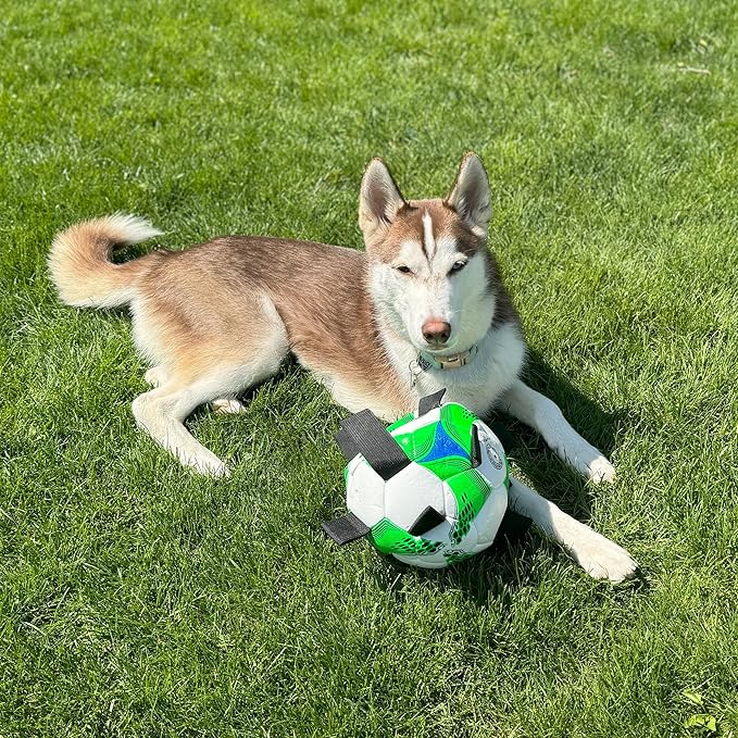 SPOT Dog Soccer Ball with E-Z Tabs - Interactive Fetch and Tug Dog Toy with Heavy Duty Nylon Straps for Carrying, Tossing, and Tugging, Floats in Water, 9in Sports Ball with Air Pump Included