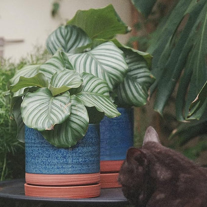 HERDUK 6 + 8 Inch Plant Pots, Ceramic Planter Pot with Drainage Hole & Saucer, Indoor/Outdoor Cylinder Round Planter Pot, Aqua Blue & Terracotta