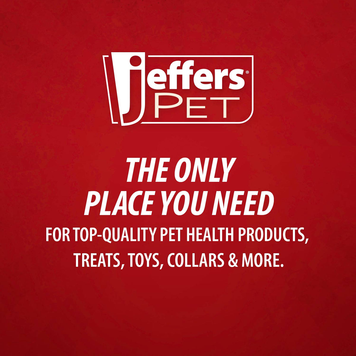 Jeffers Hypoallergenic Moisturizing Pet Shampoo for Sensitive Skin