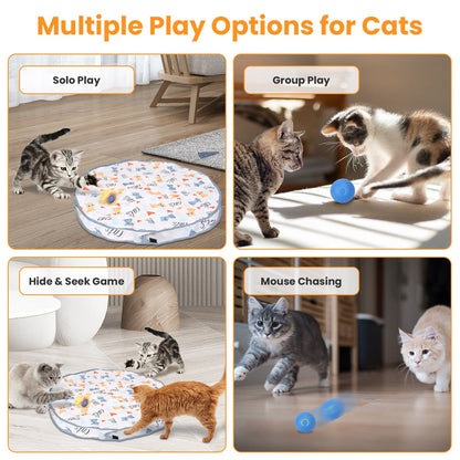 1Pc Cat Toys Ball Fast Rolling In Pouch Rechargeable Motion Activated Interactive Cat Toys For Indoor Cats Hide And Seek Mouse Catching Game