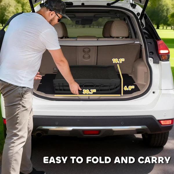 Folding Dog Ramp