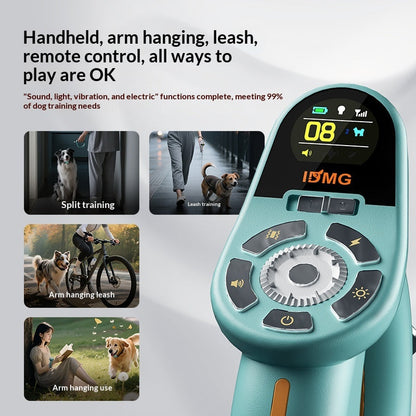 Training And Leash